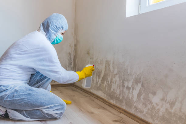 Hvac And Air Duct Mold Remediation inspection of HVAC system in Wake